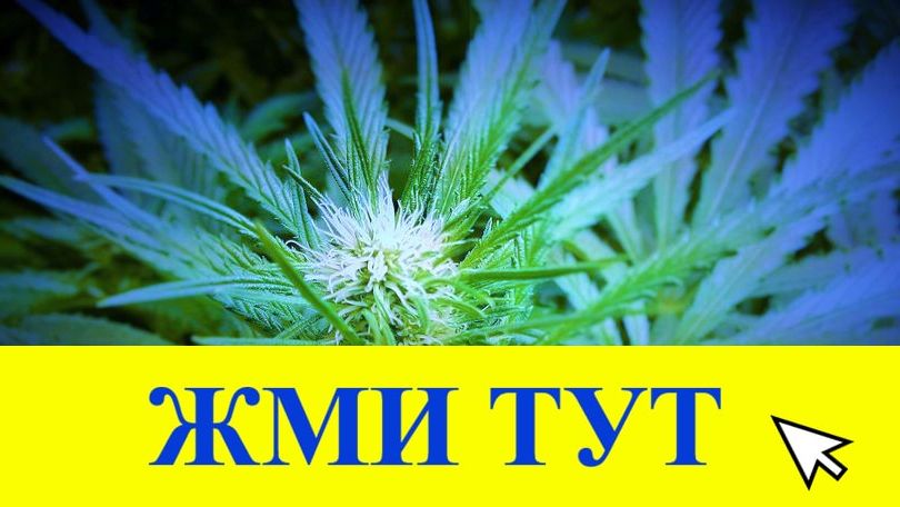 Купить наркотики в Тобольске